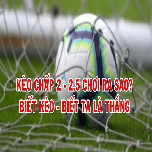 Hiểu về tỷ lệ kèo chấp 2.5